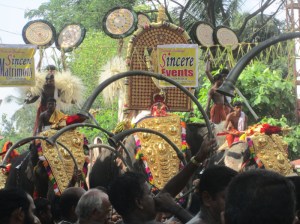 some 5 elephants, 3 in the front row and 2 behind for Sri Bhagawati temple vela (pooram), cherukulangara, Thrissur – day March 28, 2013