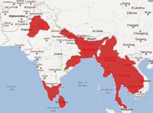 celebrating New Year the same day APRIL 14 every year: the Chola and Dharma imprint in South East Asia